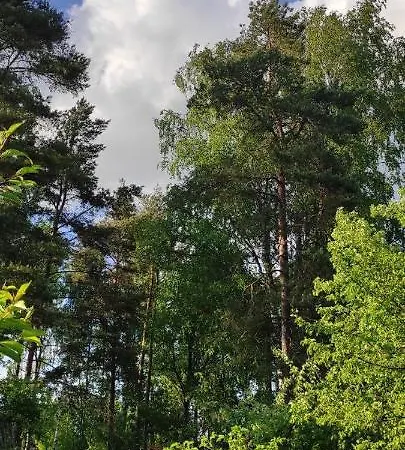 Tueri Holiday Home, A Simple House Zewnętrze zdjęcie